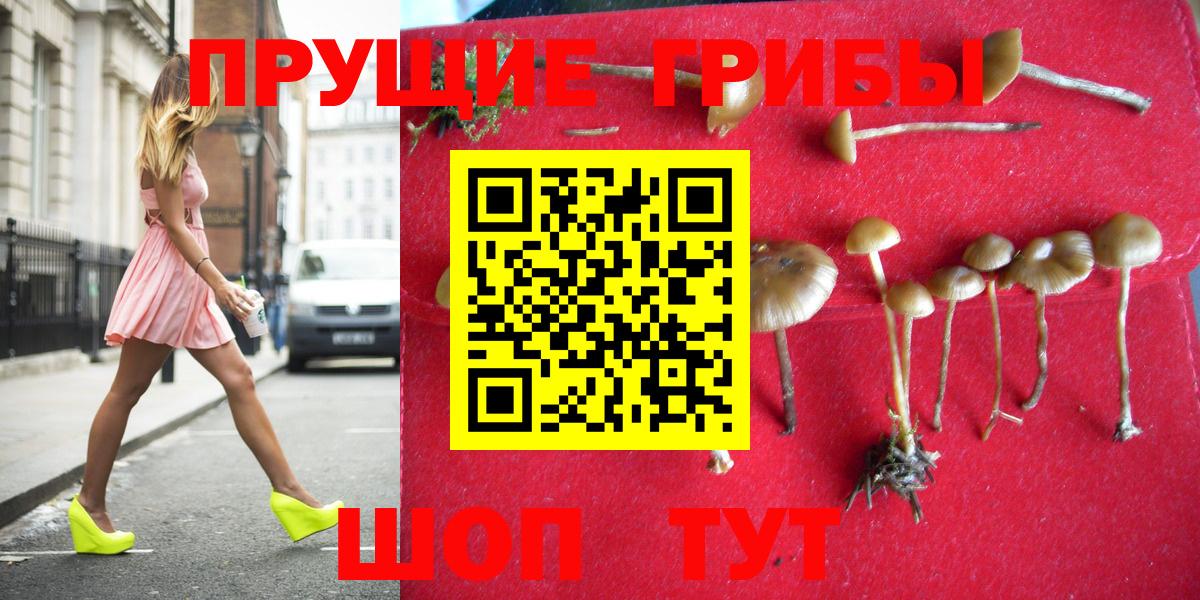 Галлюциногенные грибы Cubensis  Вход с VPN  купить наркоту  Орёл 