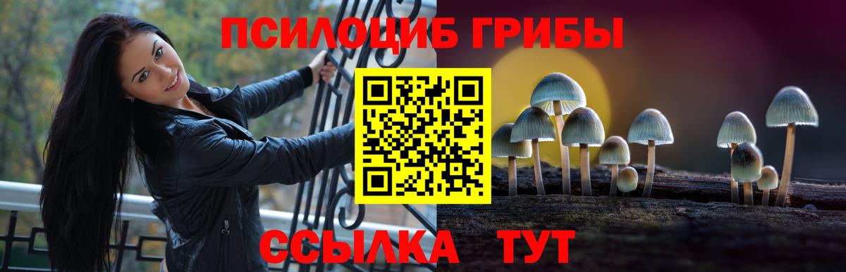 Псилоцибиновые грибы Psilocybine cubensis Орёл
